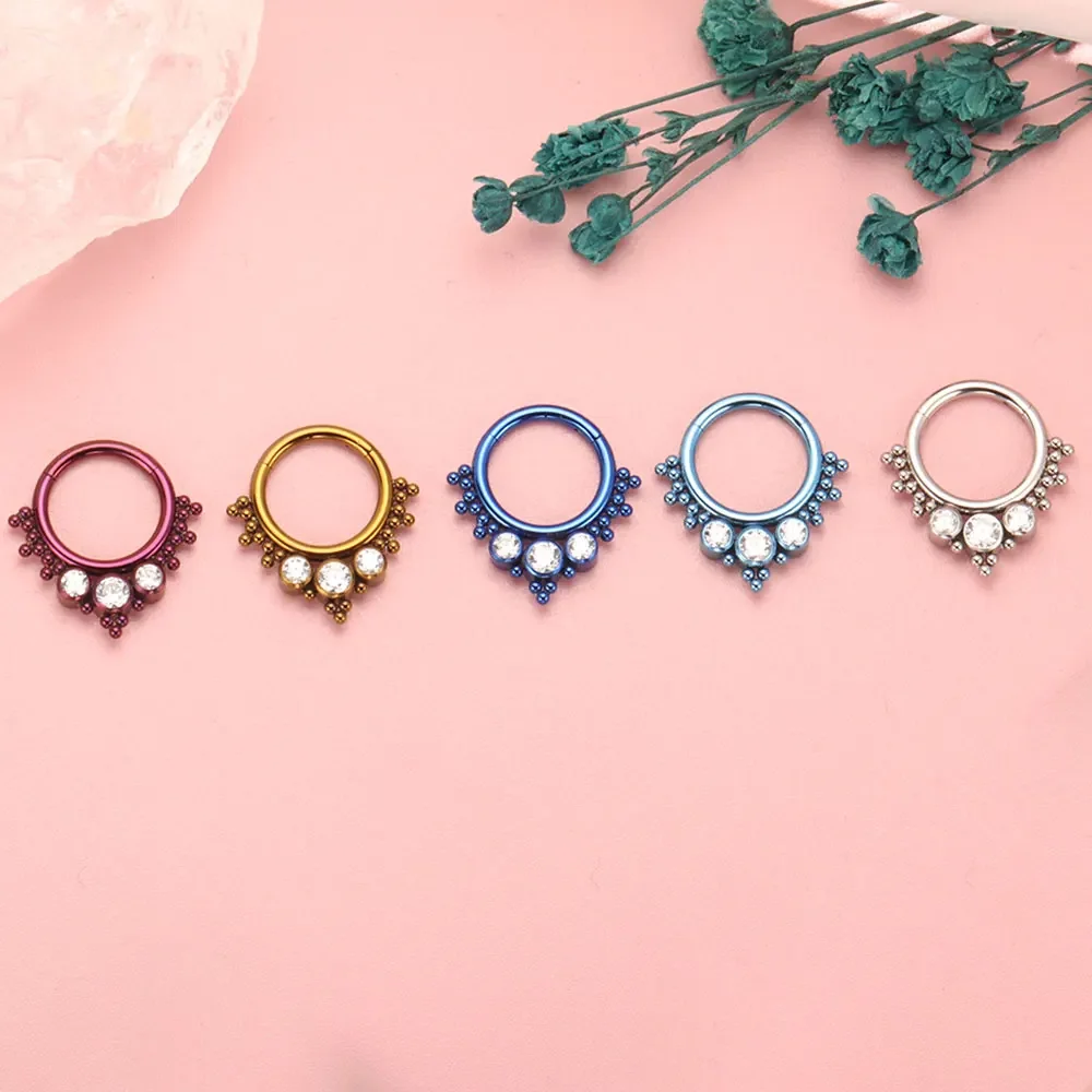ASTM F136 Titanium Clicker Hig - Body Piercing Quality Jewelry review and price