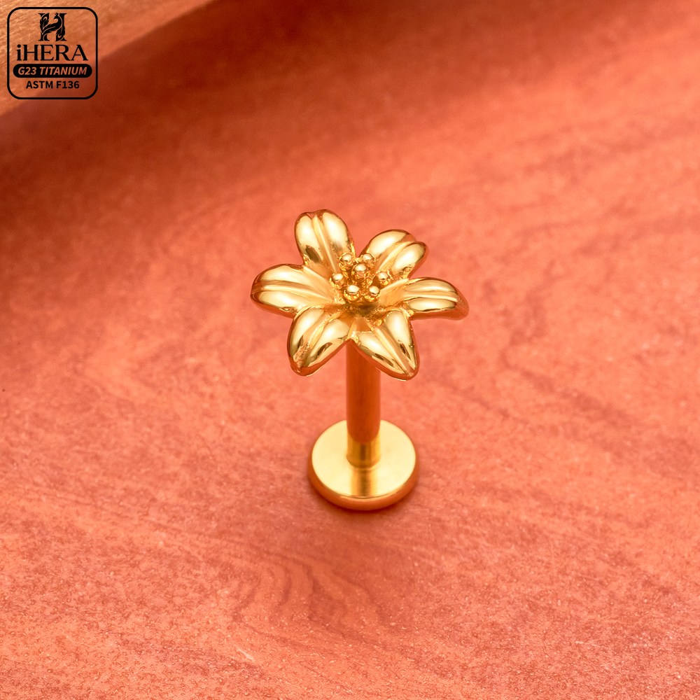 G23 Titanium Tiny Teardrop Dan - Rook Curved Barbell review and price