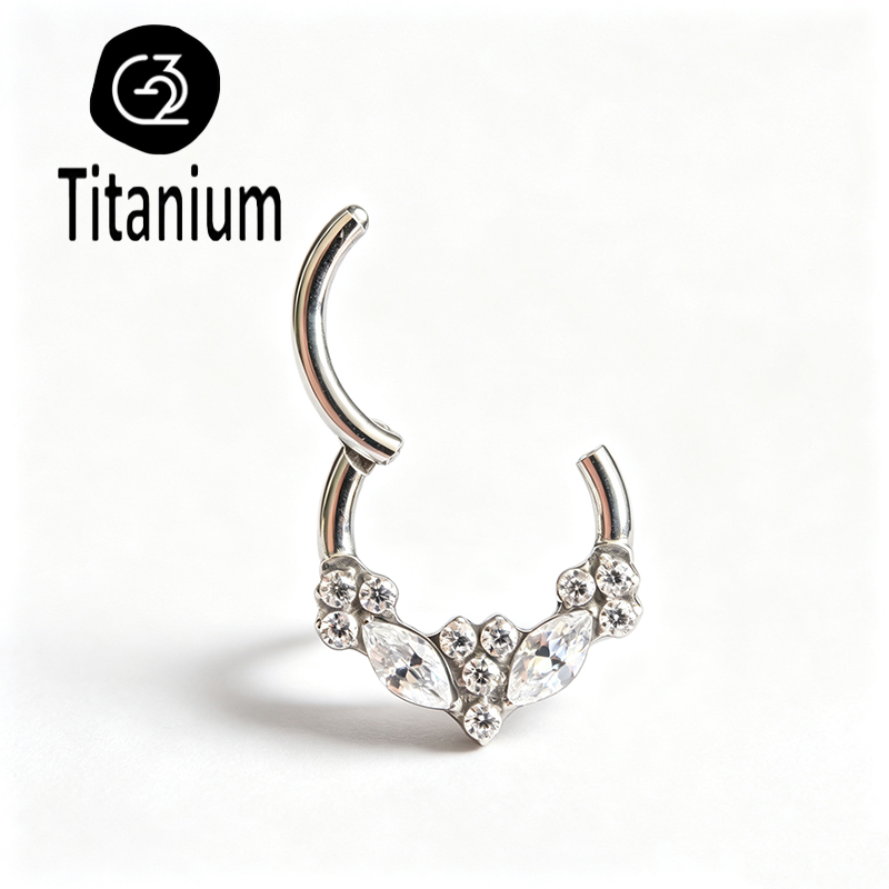 ASTM F136 Titanium High Qualit - Body Piercing Quality Jewelry review and price