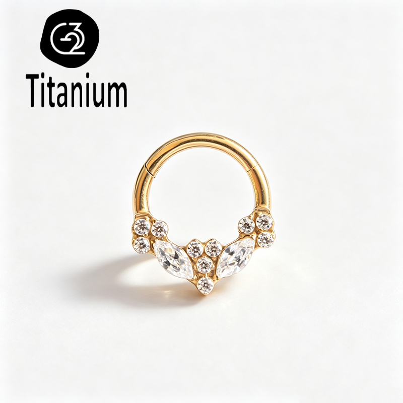 ASTM F136 Titanium High Qualit - Body Piercing Quality Jewelry review and price