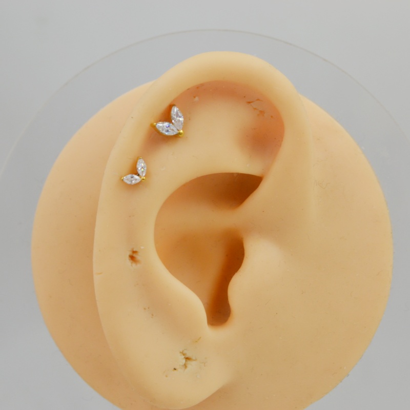 Lot10pcs G23 Titanium ASTM F13 - Rook Curved Barbell review and price