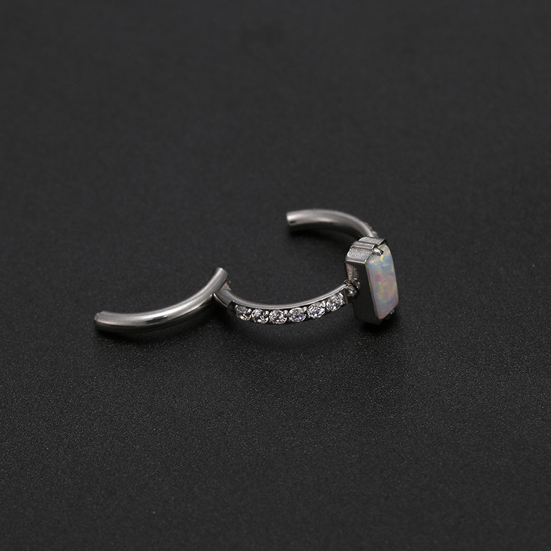 16G Stainless Steel Hoop High  - Body Piercing Quality Jewelry review and price